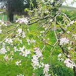 Romantique En Pays D'auge Pour 2 Pers * Mittois