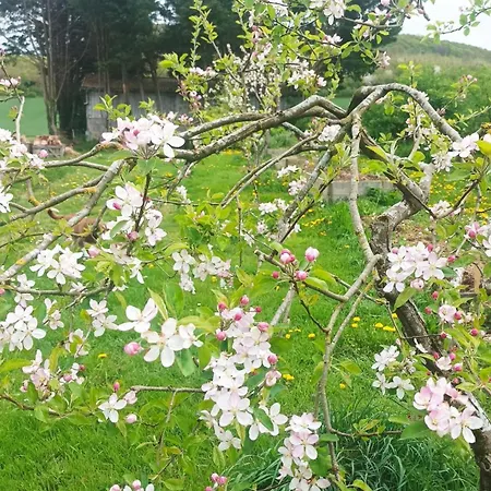 Romantique En Pays D'auge Pour 2 Pers * Mittois